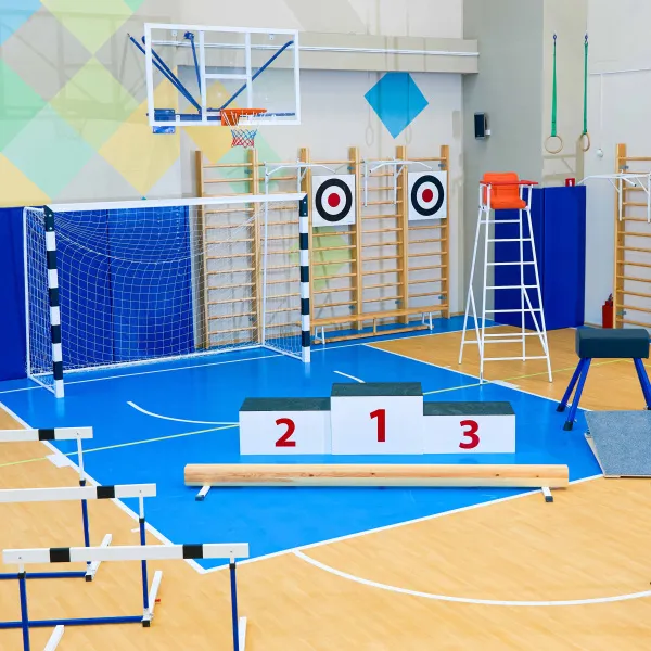 Щит для метания навесной на шведскую стенку (фанера) 700х700 ZAVODSPORTA за 8&nbsp;960 ₽ в Ульяновске