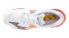 V1GA2400-98 2