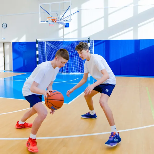 Щит баскетбольный игровой (монолитный поликарбонат) 1050х1800 мм ZAVODSPORTA за 47&nbsp;600 ₽ в Ульяновске